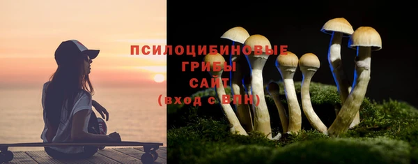 стафф Аркадак