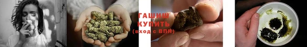 мяу мяу мука Армянск