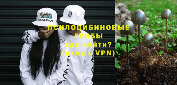 мяу мяу мука Армянск