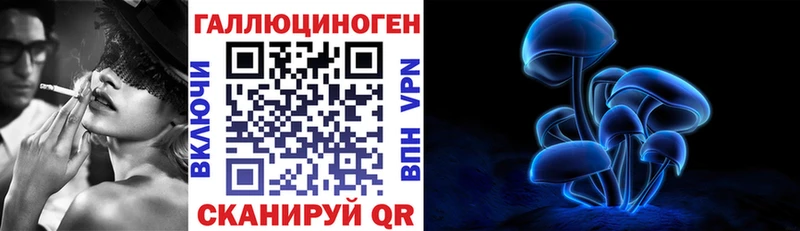 закладки  Яхрома  Псилоцибиновые грибы мухоморы 